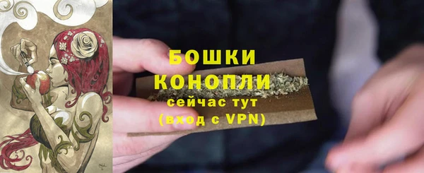 ALPHA PVP Беломорск