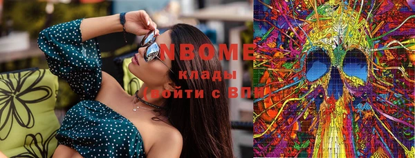 шишки Белоозёрский