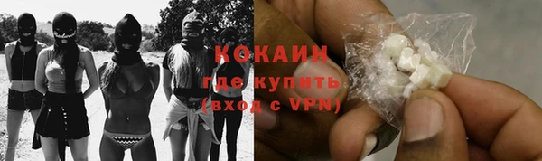 шишки Белоозёрский