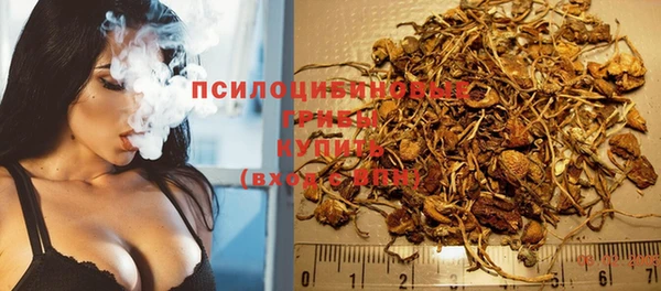 шишки Белоозёрский