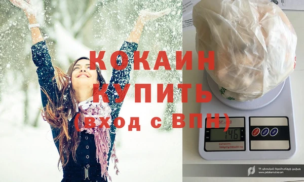 шишки Белоозёрский