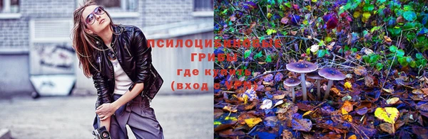 COCAINE Белокуриха