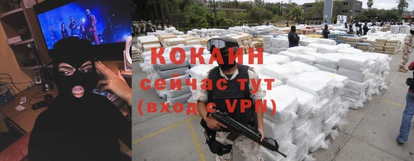 шишки Белоозёрский