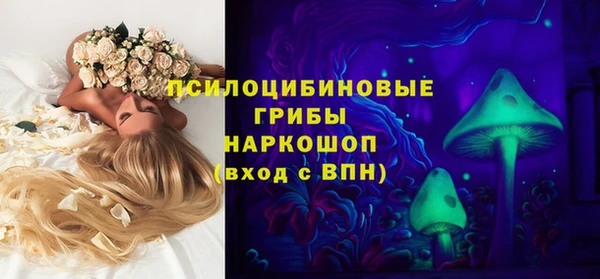 шишки Белоозёрский